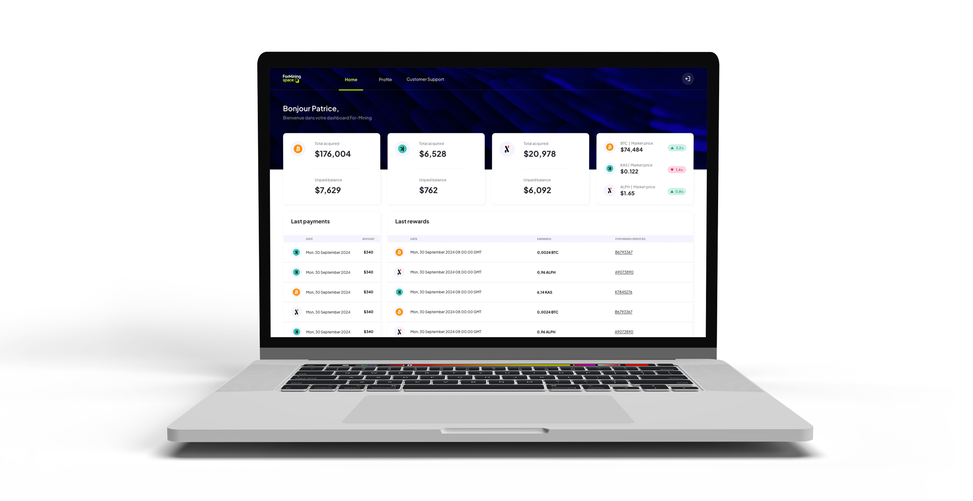 Mining dashboard showing hashrate and earnings
